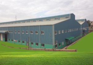 Read more about the article Backgroung of Abay Printing and Paper Packaging PLC